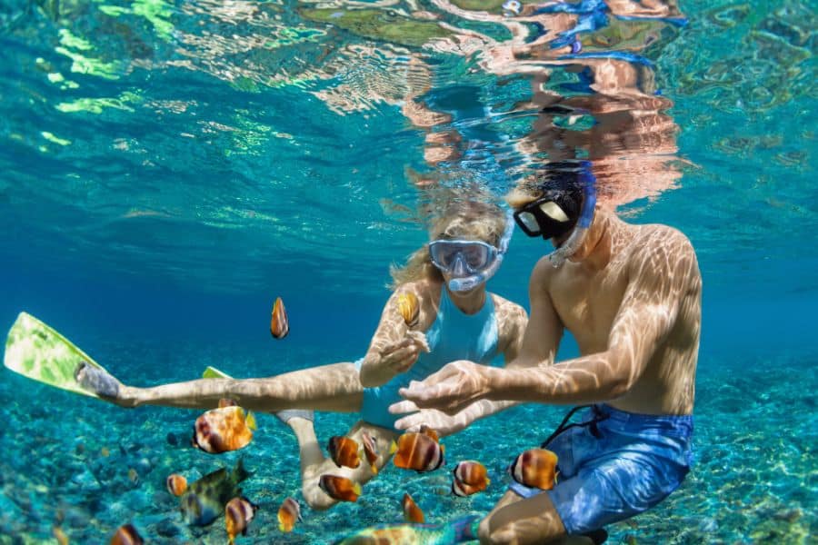Snorkeling in Barbados